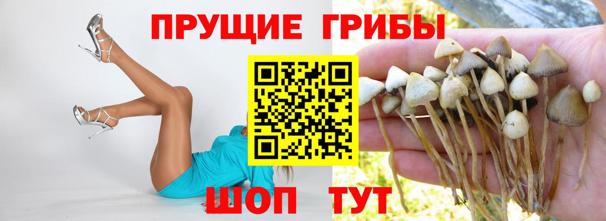 Псилоцибиновые грибы ЛСД Чебаркуль